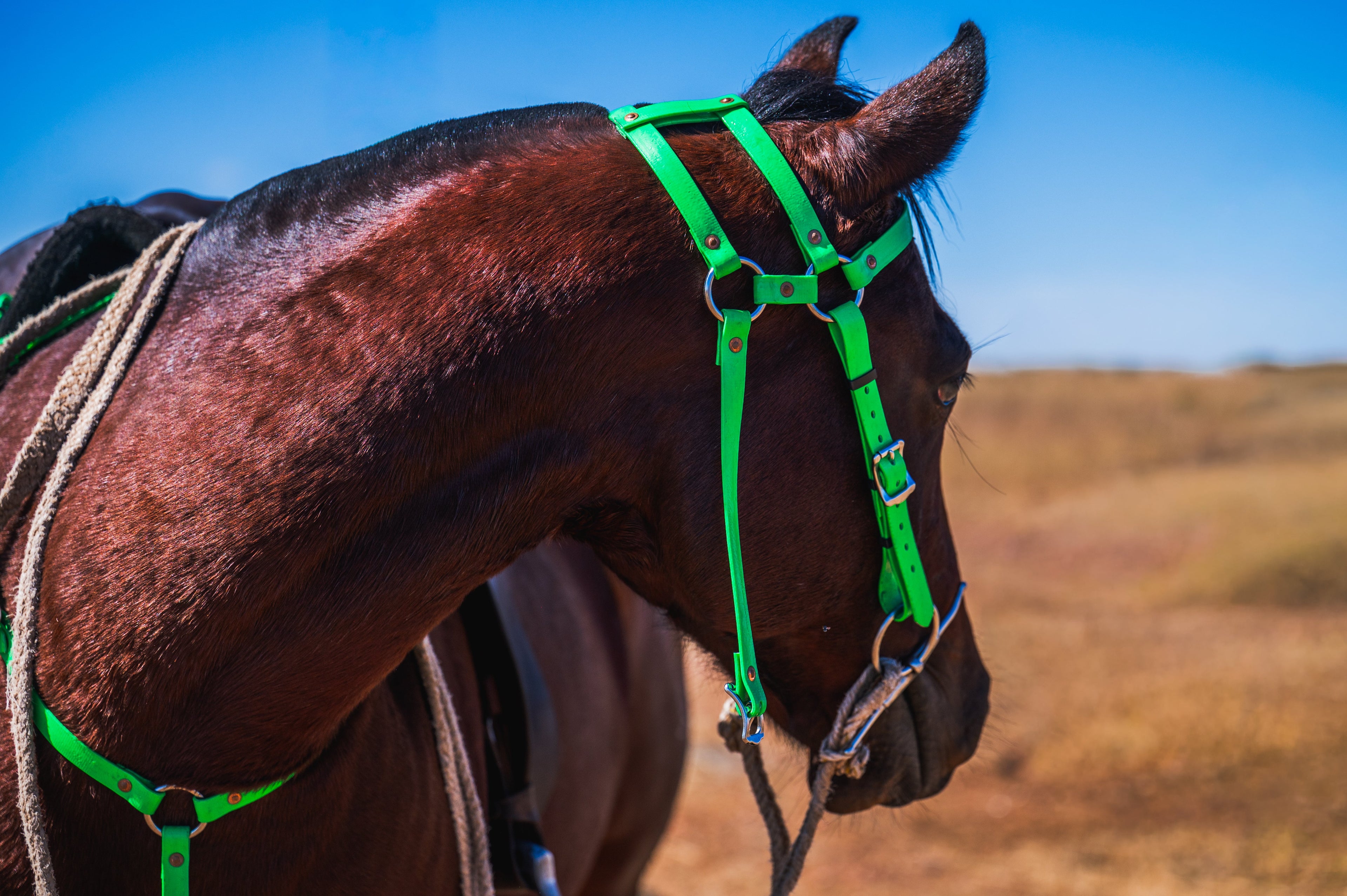 Headstalls