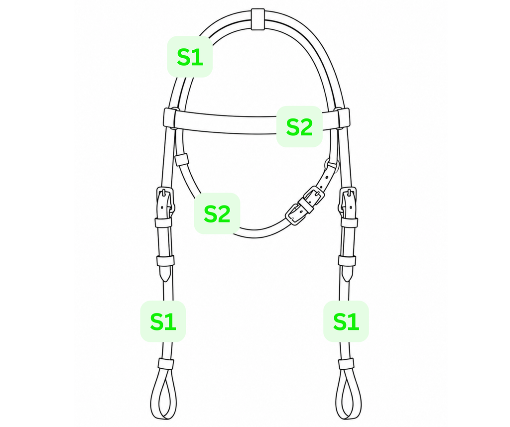 COB Headstall - Double