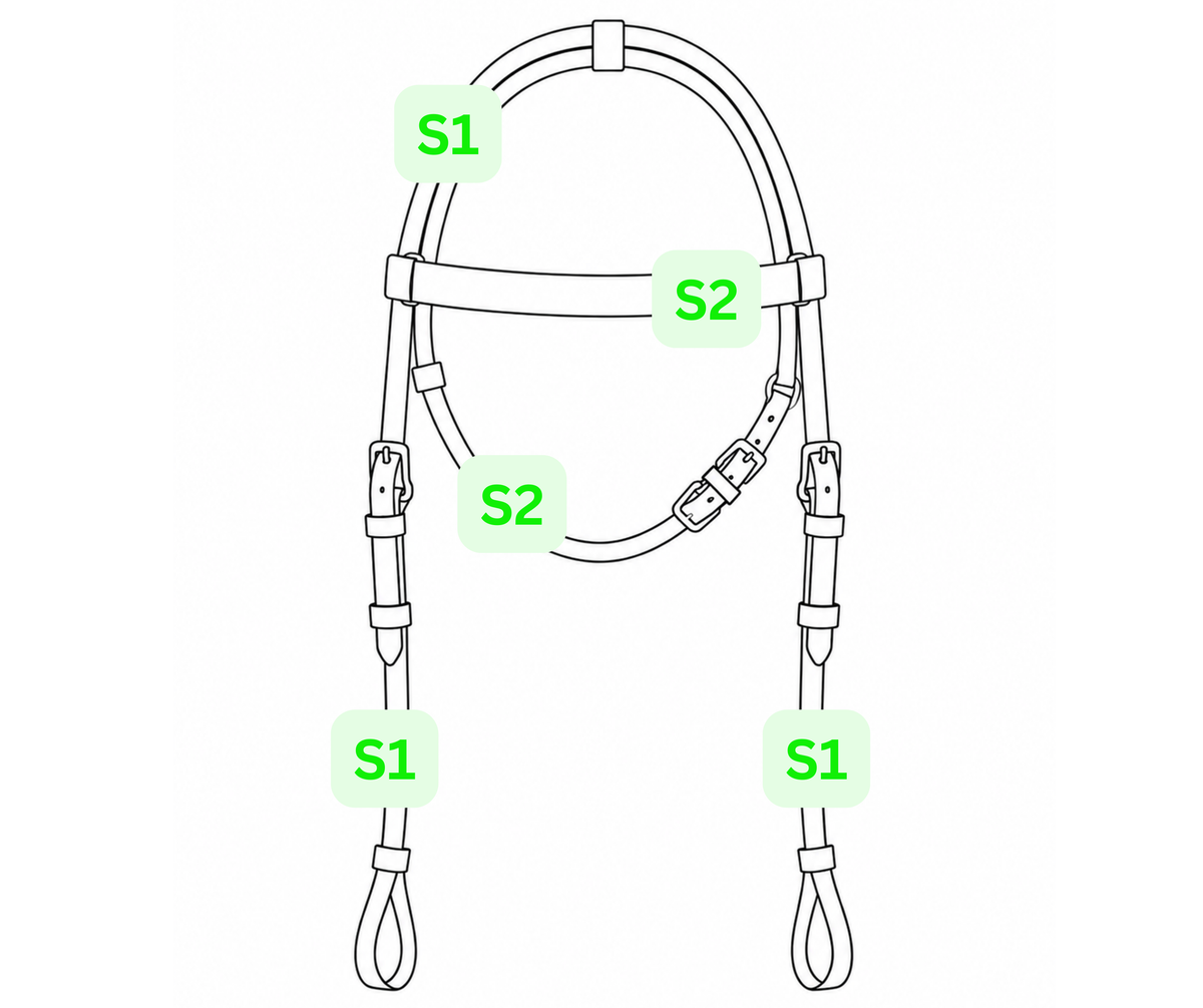 COB Headstall - Double