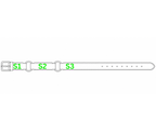 Kids Two Ring Hobble Belt