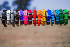 Small Dog Collars 38cm