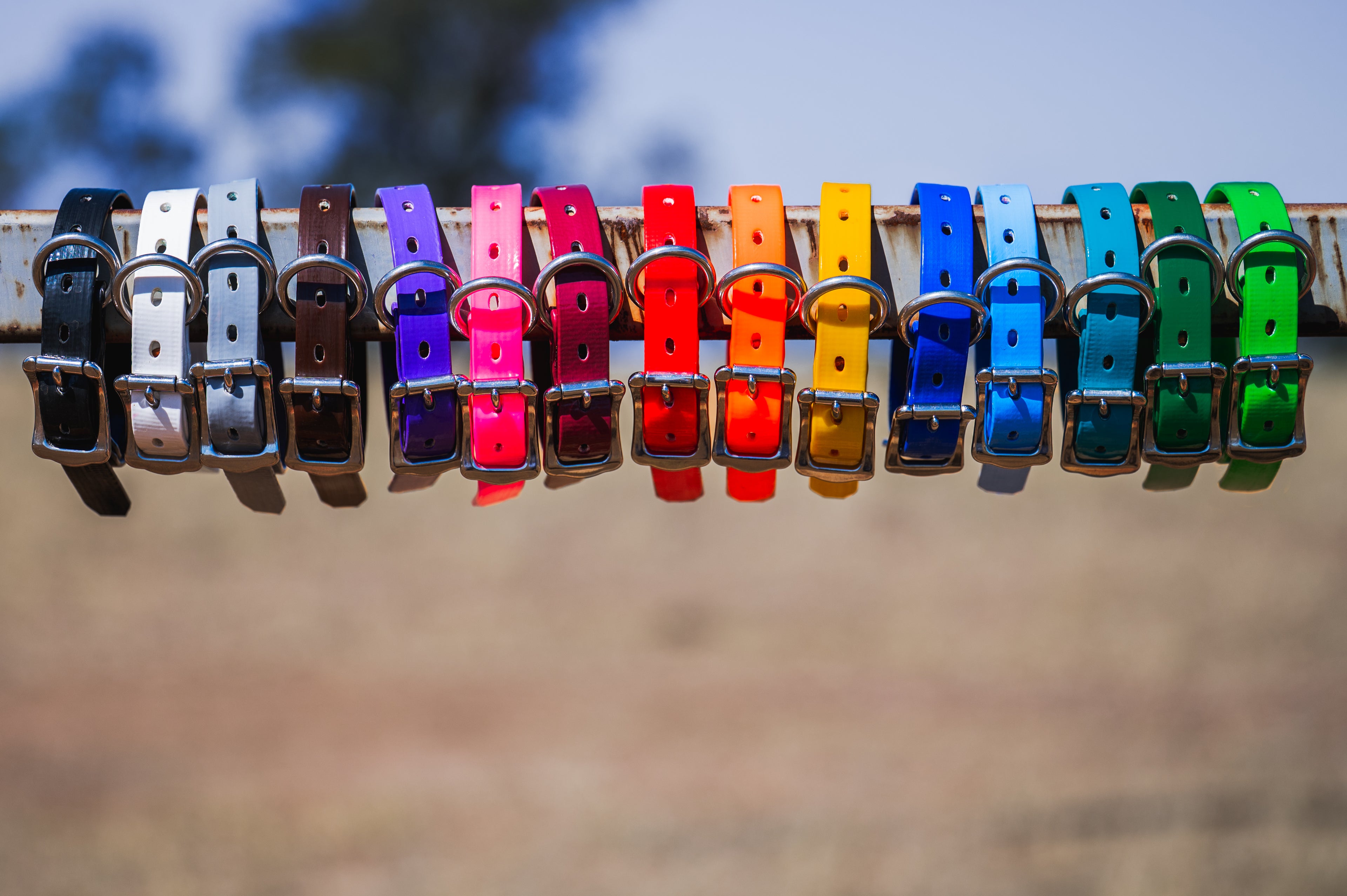 Small Dog Collars 38cm