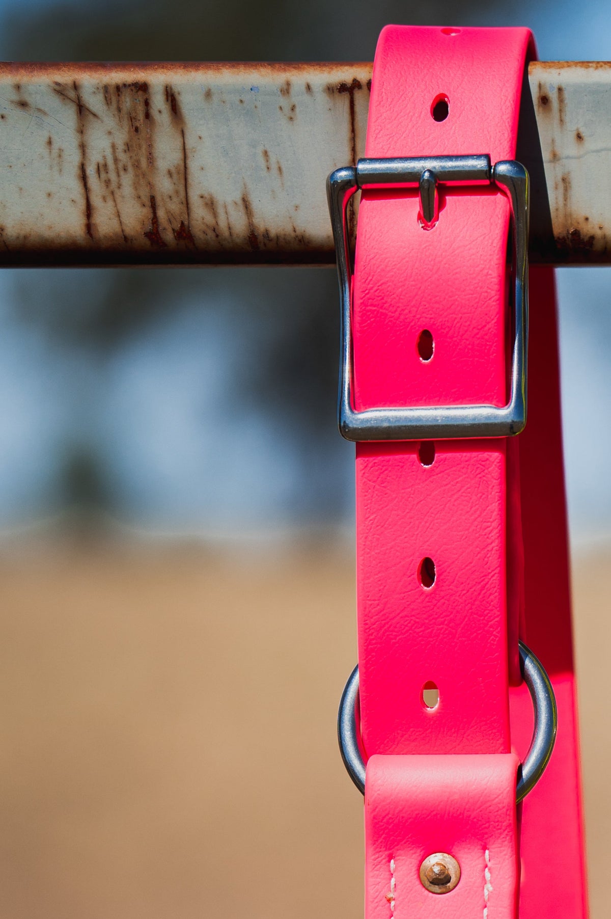 One Ring Hobble Belt