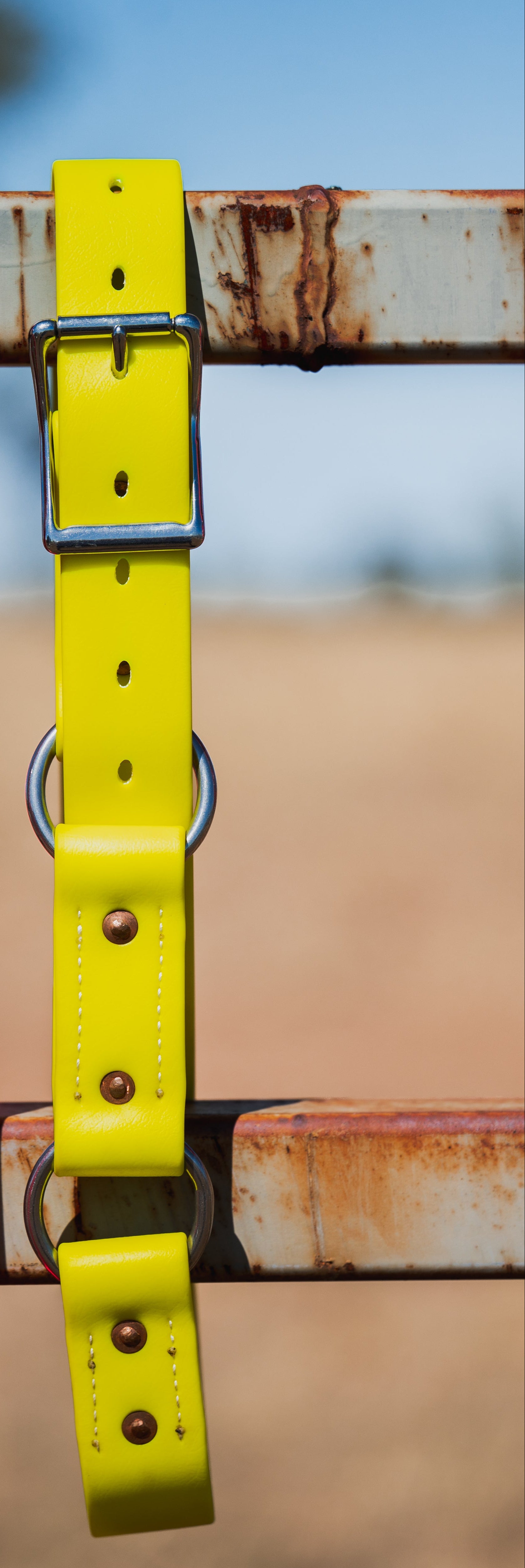 Two Ring Hobble Belt