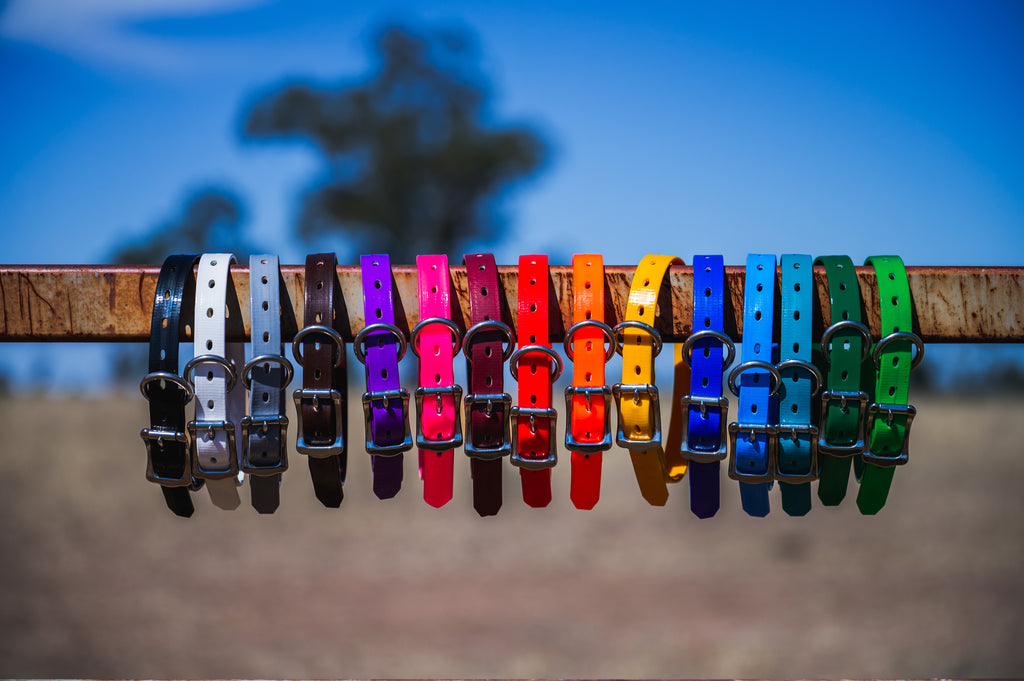 Medium Dog Collars 50cm