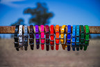 Medium Dog Collars 50cm