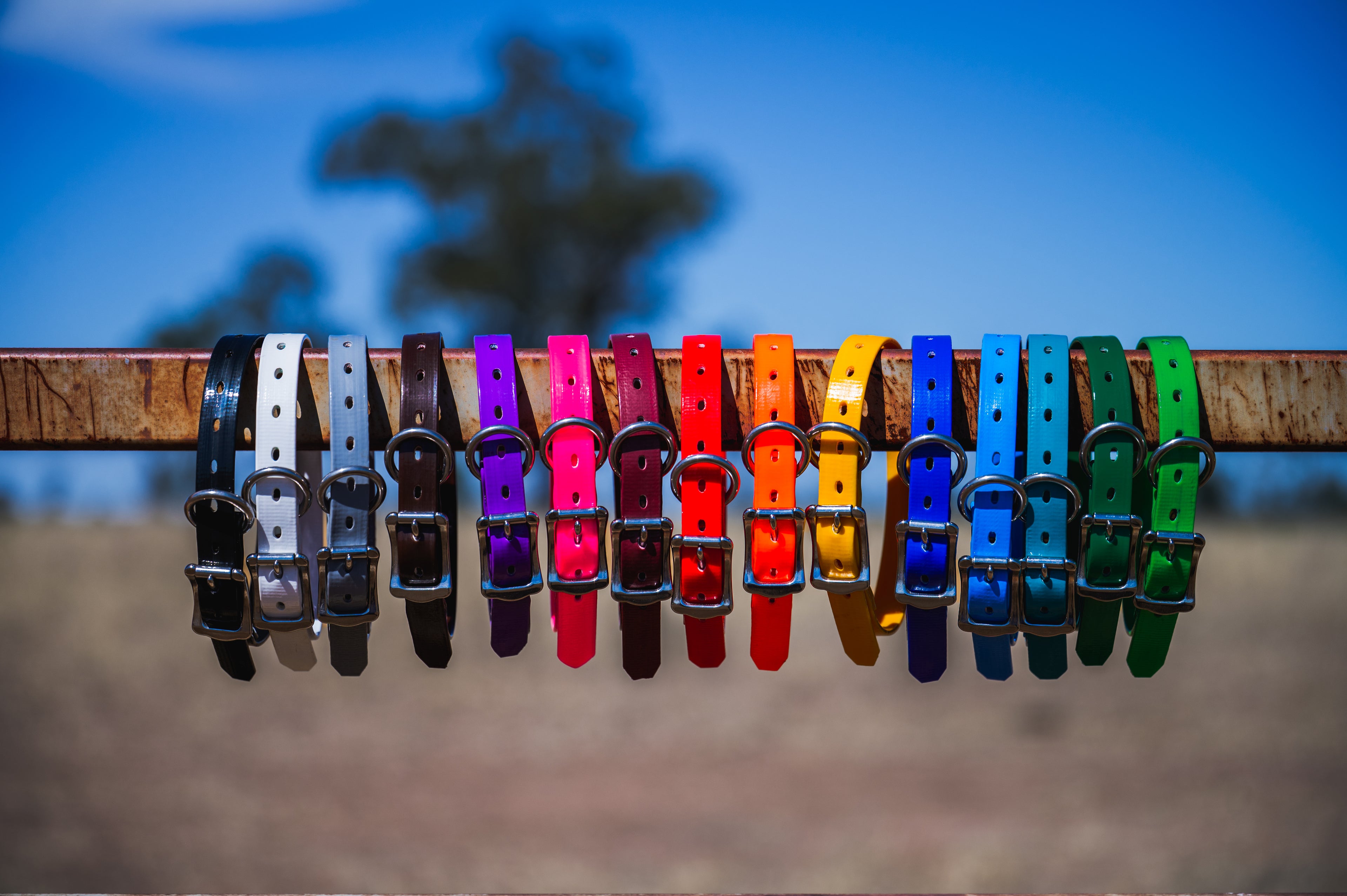 Medium Dog Collars 50cm