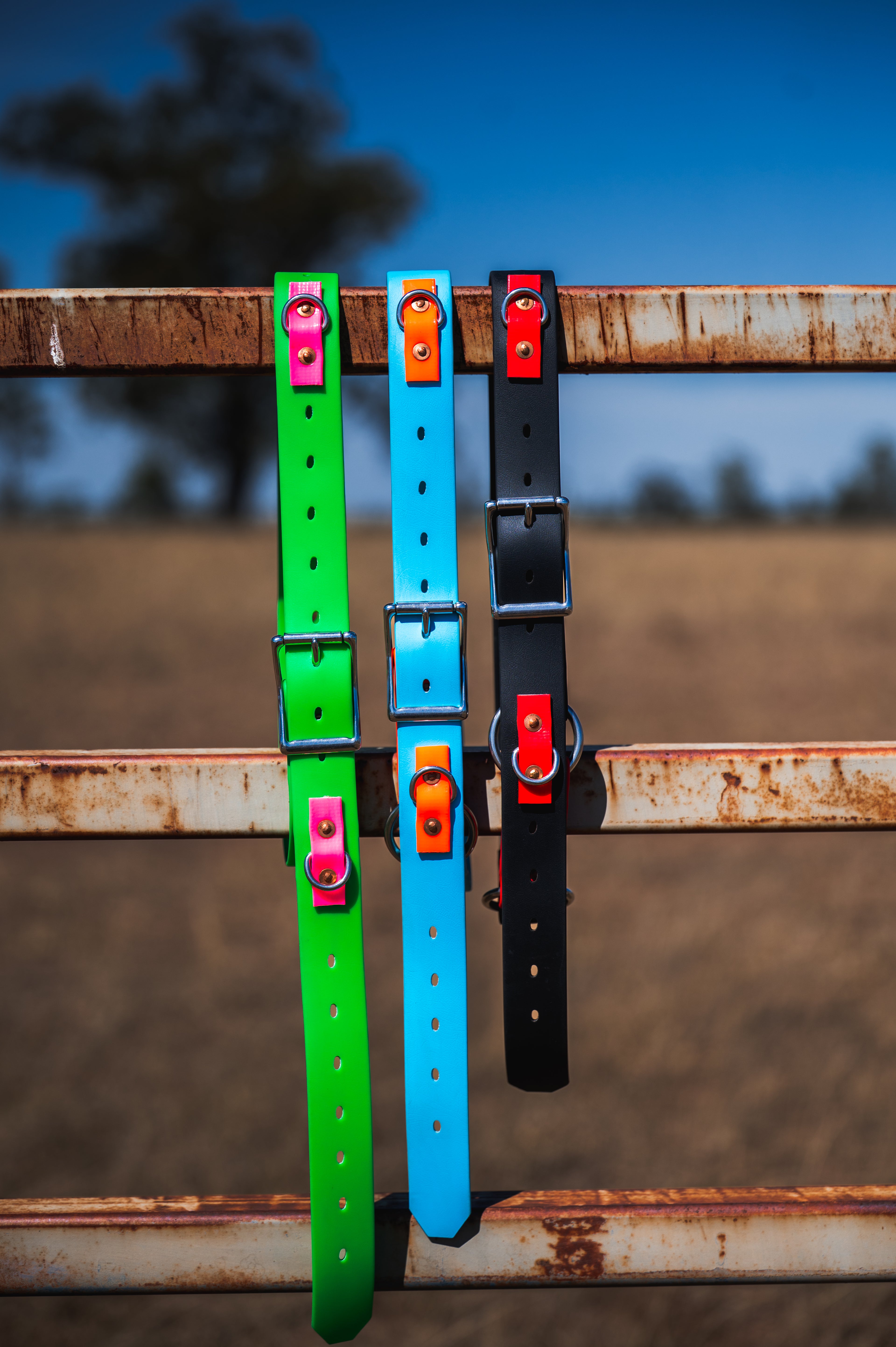Sit & Stay Belt