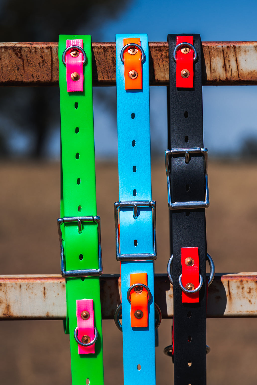 One Ring Hobble Sit & Stay Belt