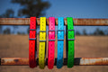 Heavy Duty Bull Strap