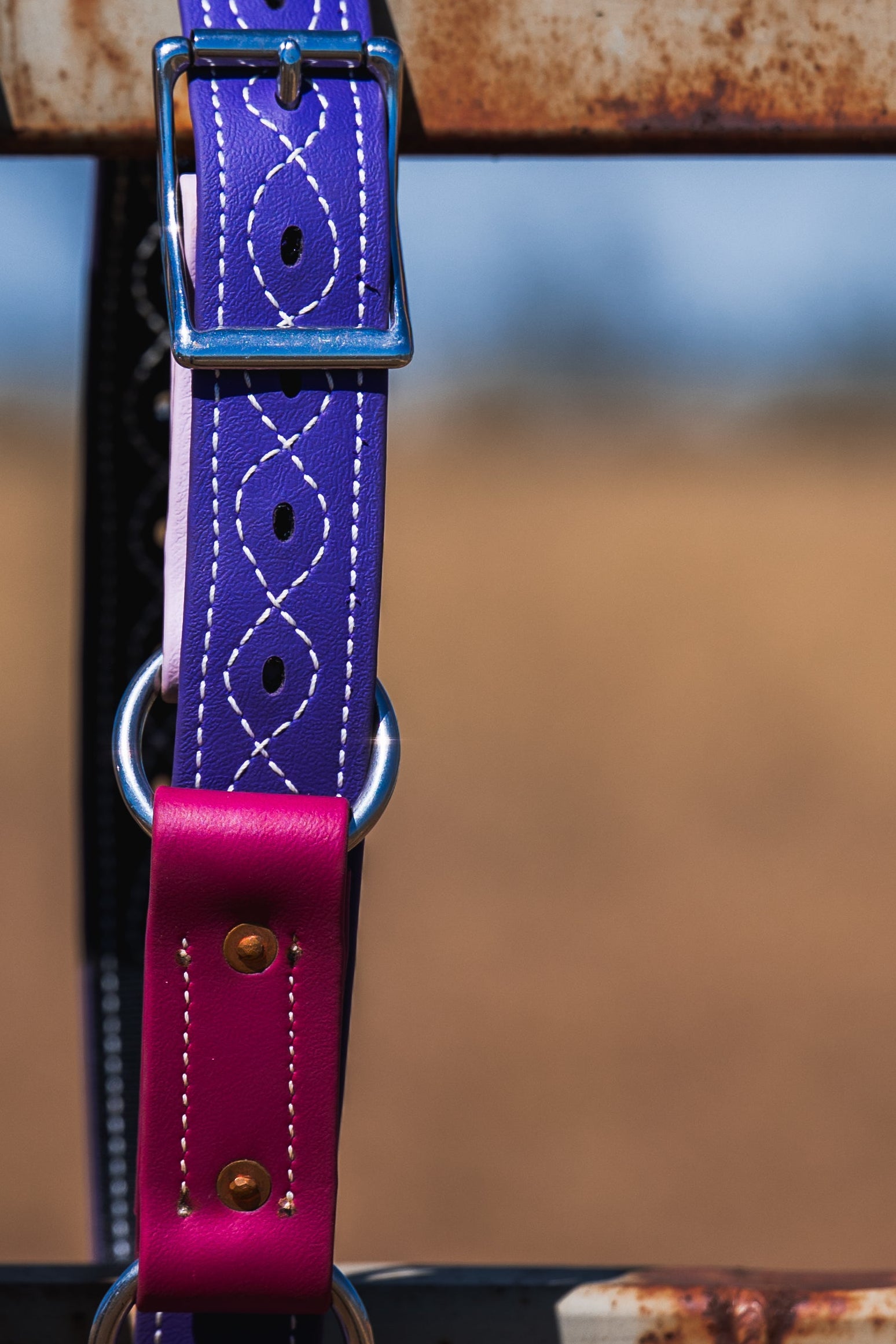 Heavy Duty Two Ring Hobble Belt