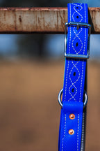Heavy Duty One Ring Hobble Belt