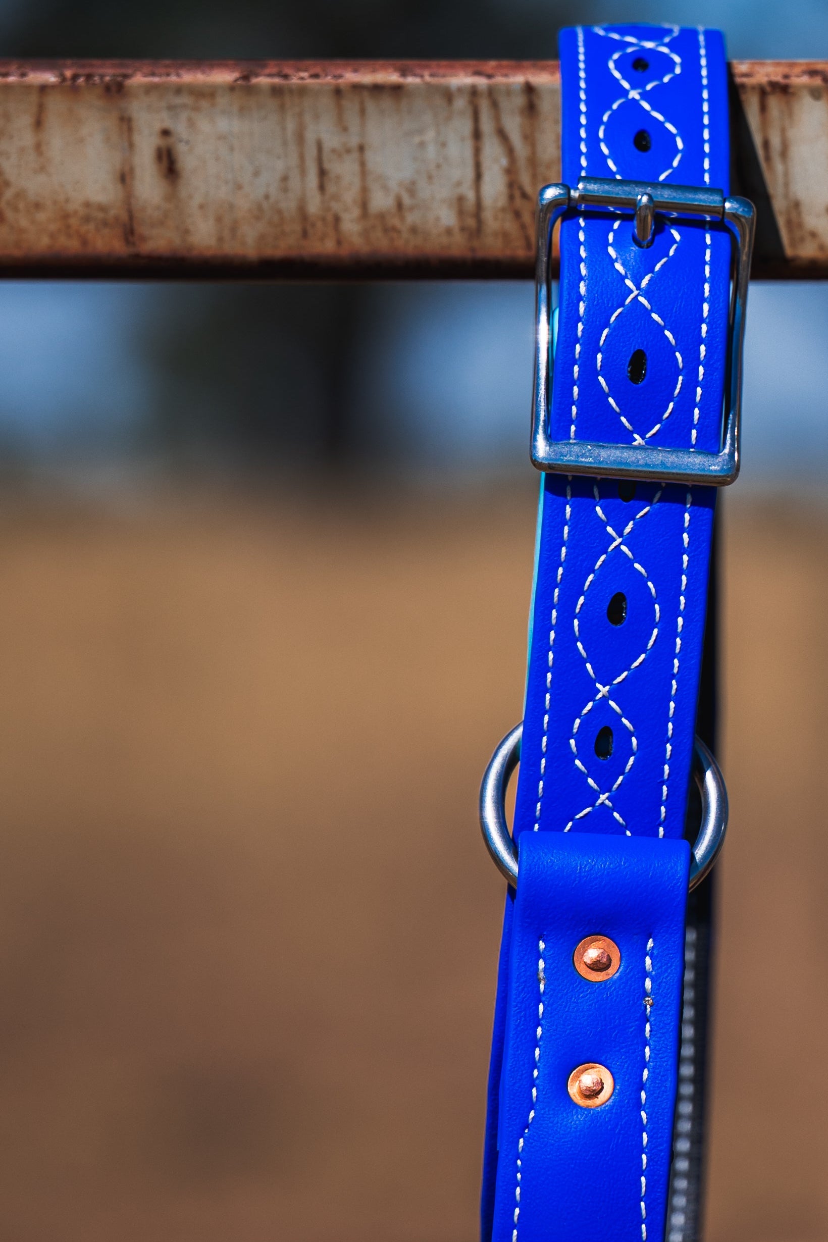 Heavy Duty One Ring Hobble Belt