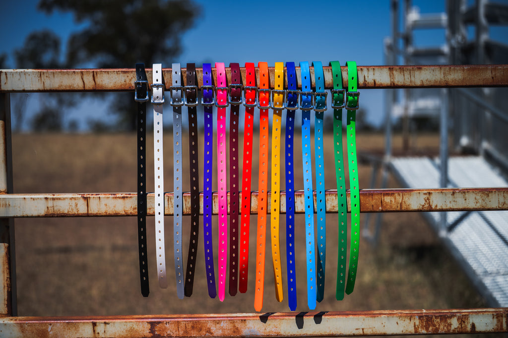 Calf & Goat Straps