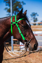 COB Headstall - Double