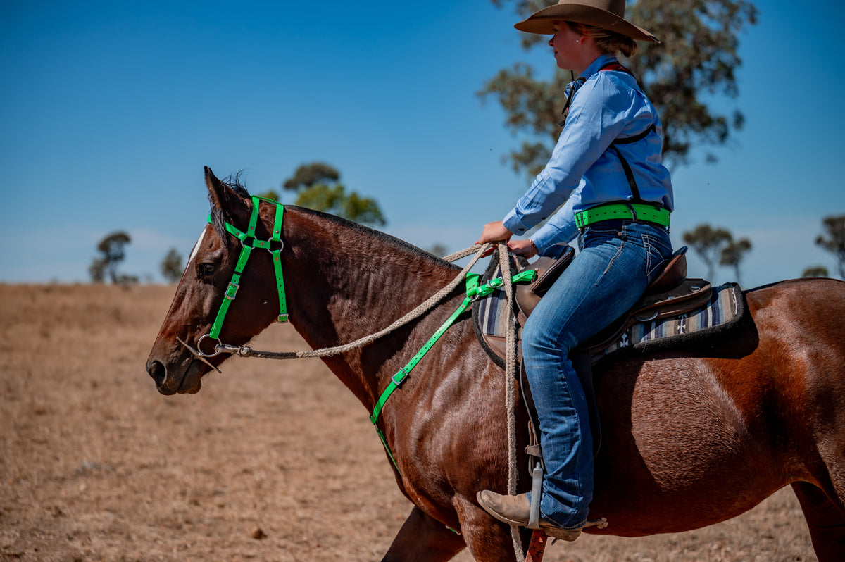 COB Headstall - Double