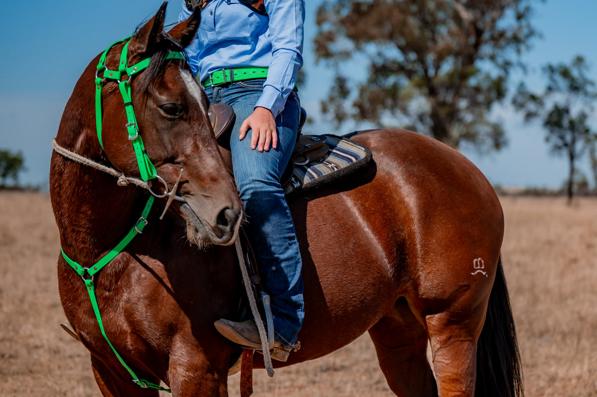COB Headstall - Double