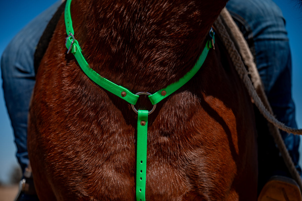 Breastplate - Cob