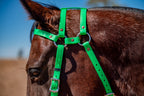COB Headstall - Double