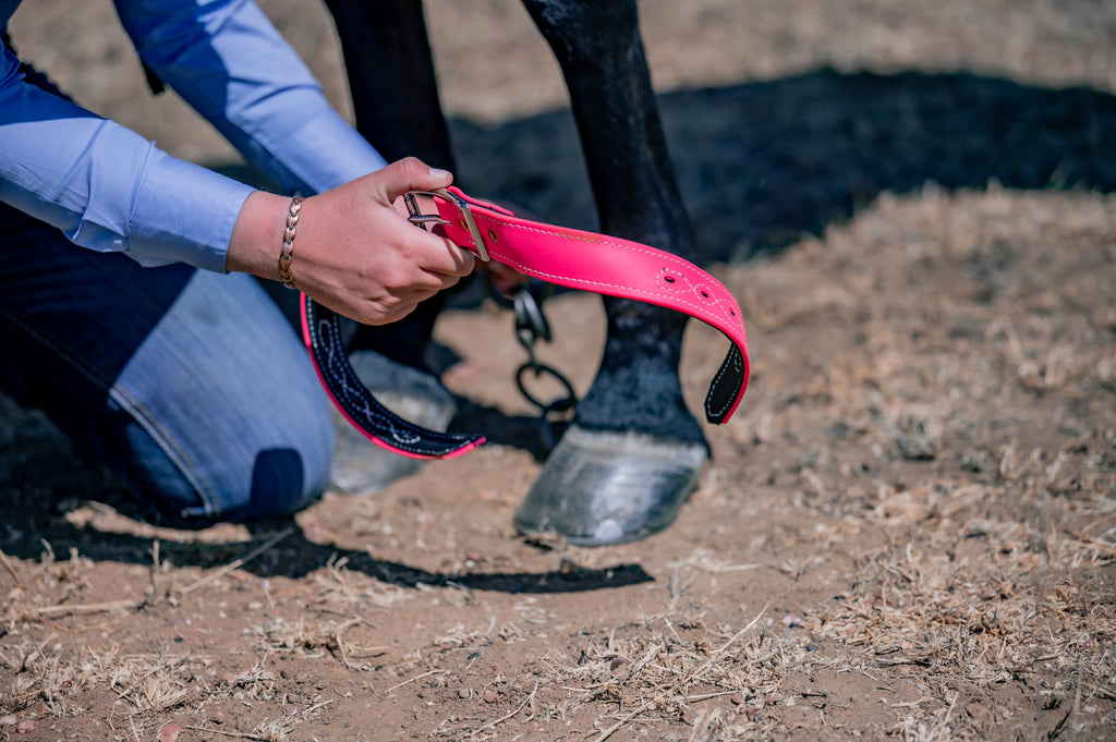 Heavy Duty Buckle Hobbles