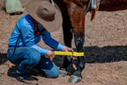 Two Ring Hobble Belt