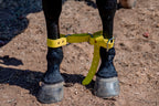 Two Ring Hobble Belt