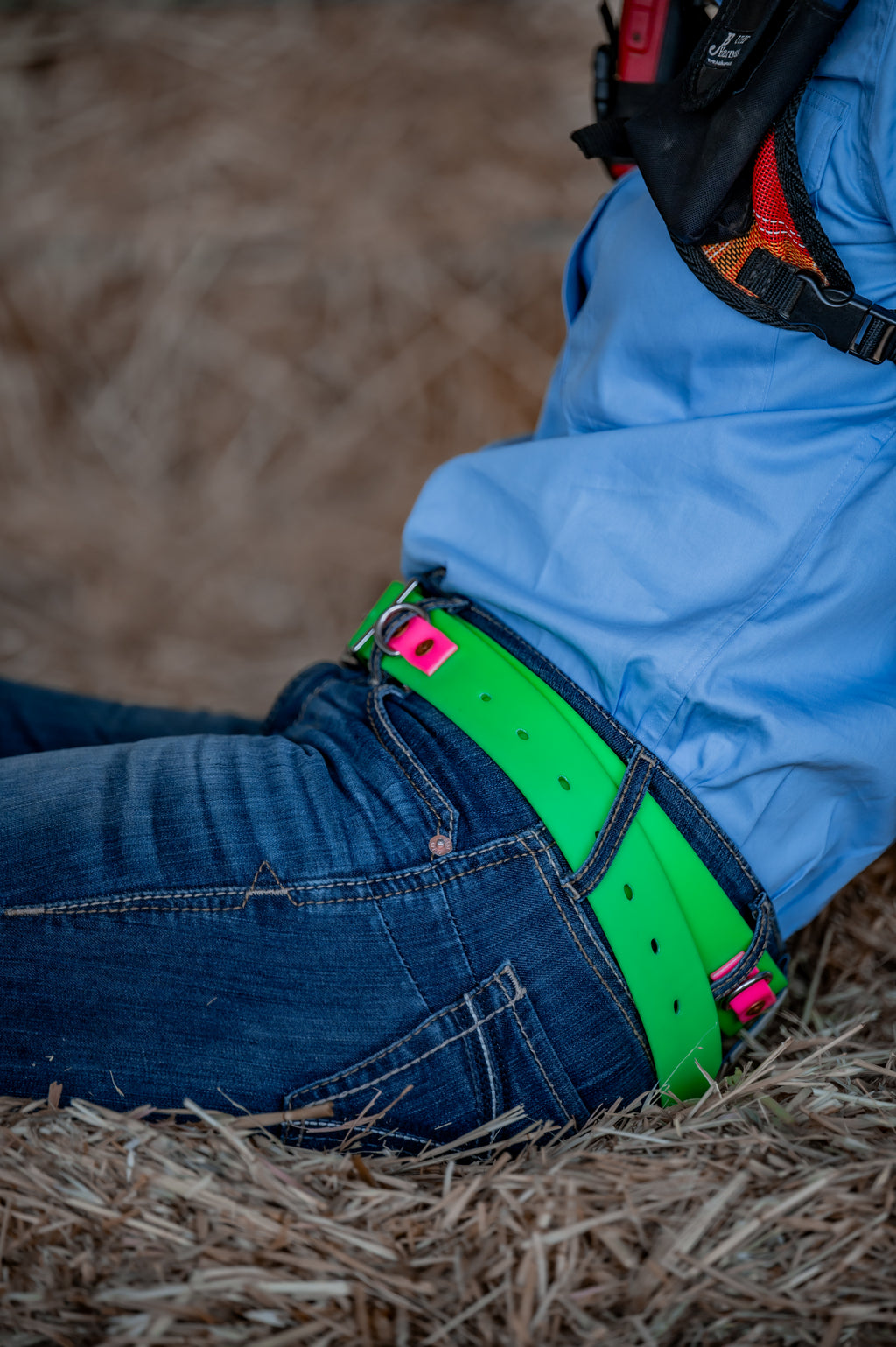 Sit & Stay Belt