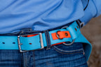 One Ring Hobble Sit & Stay Belt