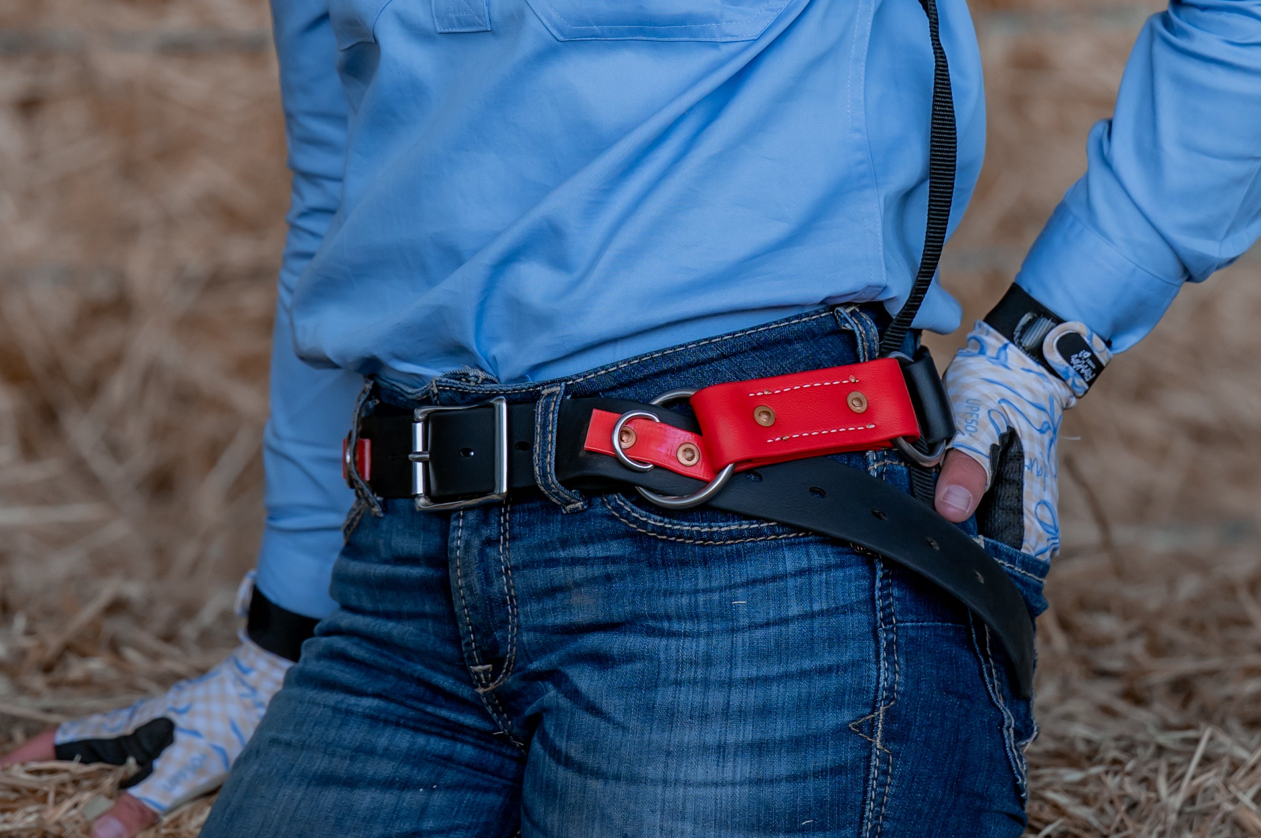 Two Ring Hobble Sit & Stay Belt