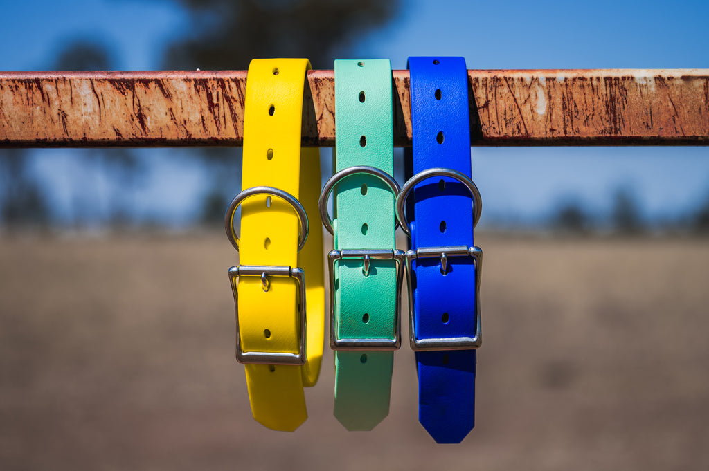 Pig Dog Collars (AKA Wide Collars)