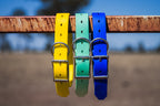 Pig Dog Collars (AKA Wide Collars)