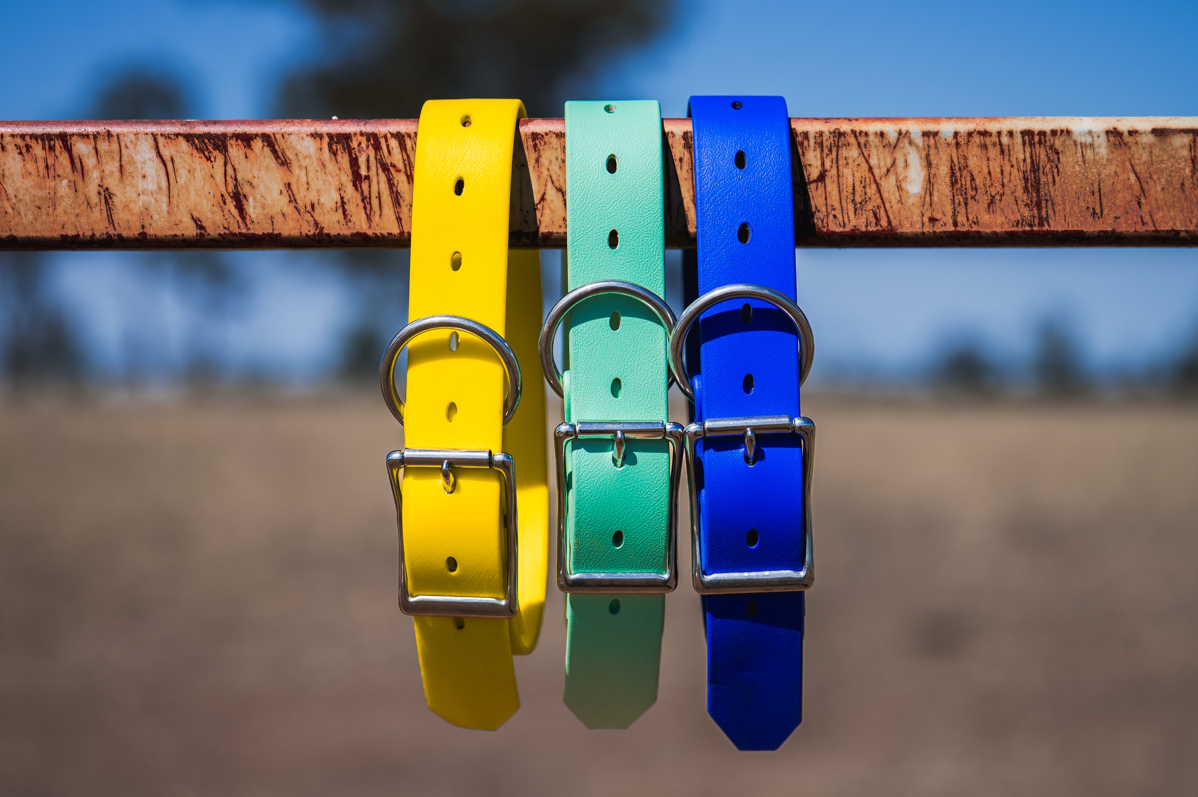 Pig Dog Collars (AKA Wide Collars)