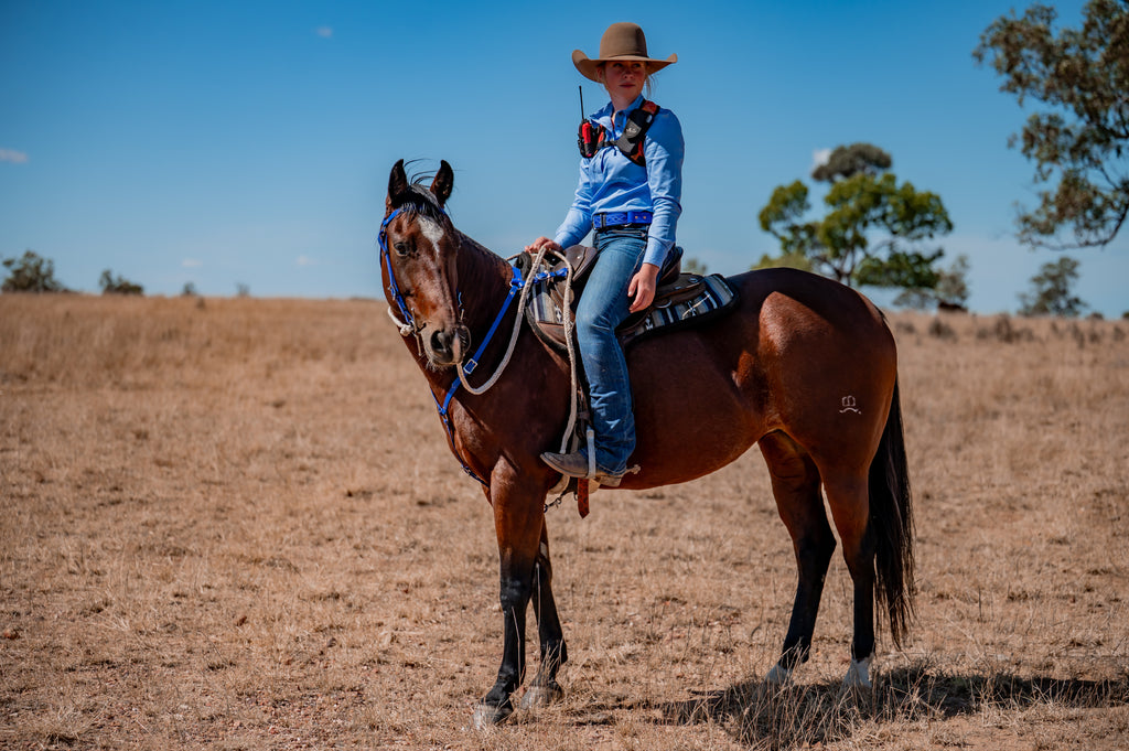 COB Headstall - Single