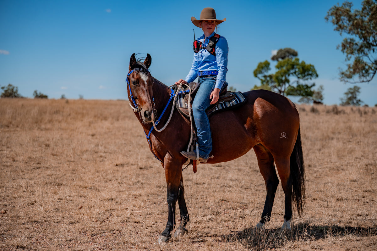 COB Headstall - Single