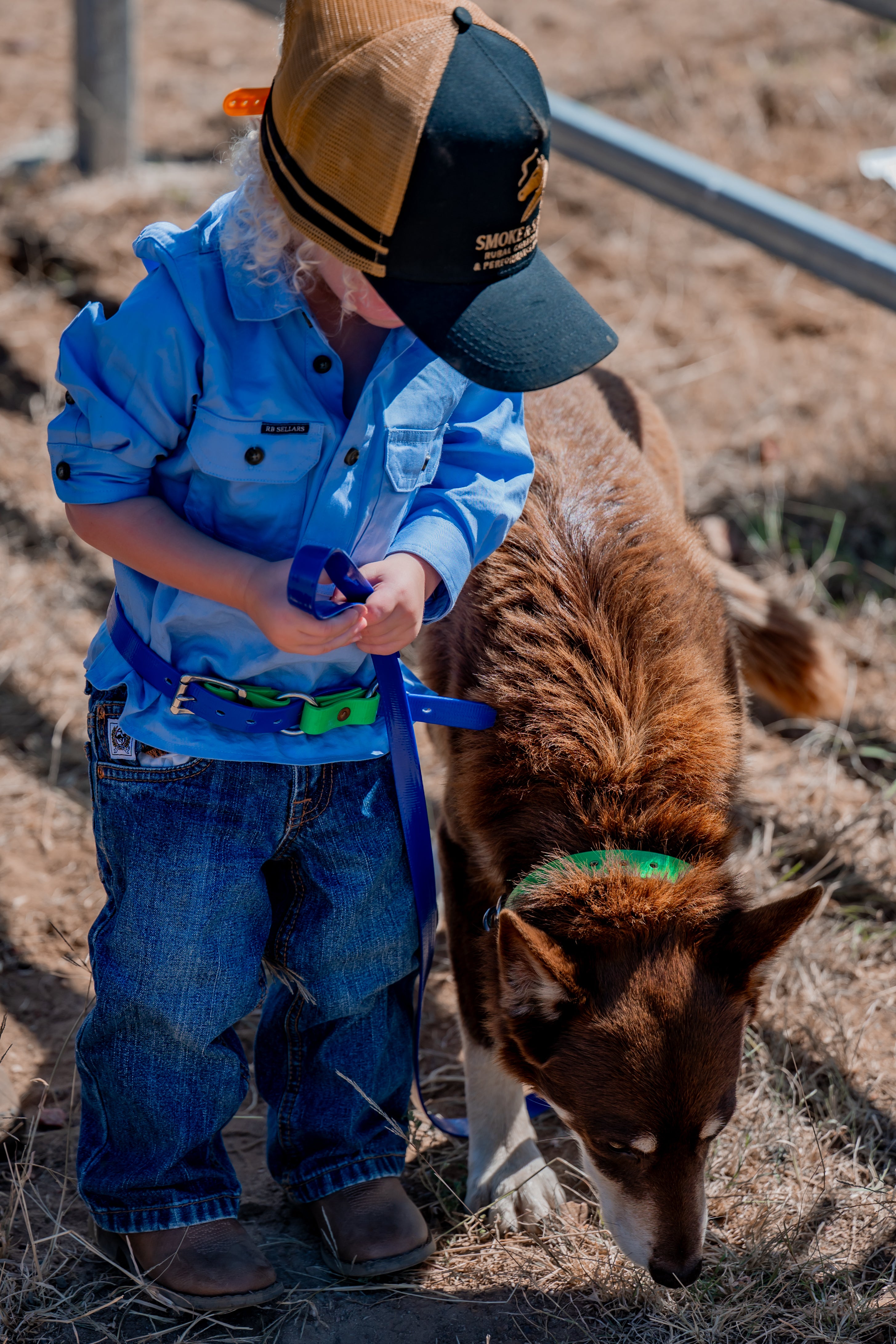 Kids Two Ring Hobble Belt