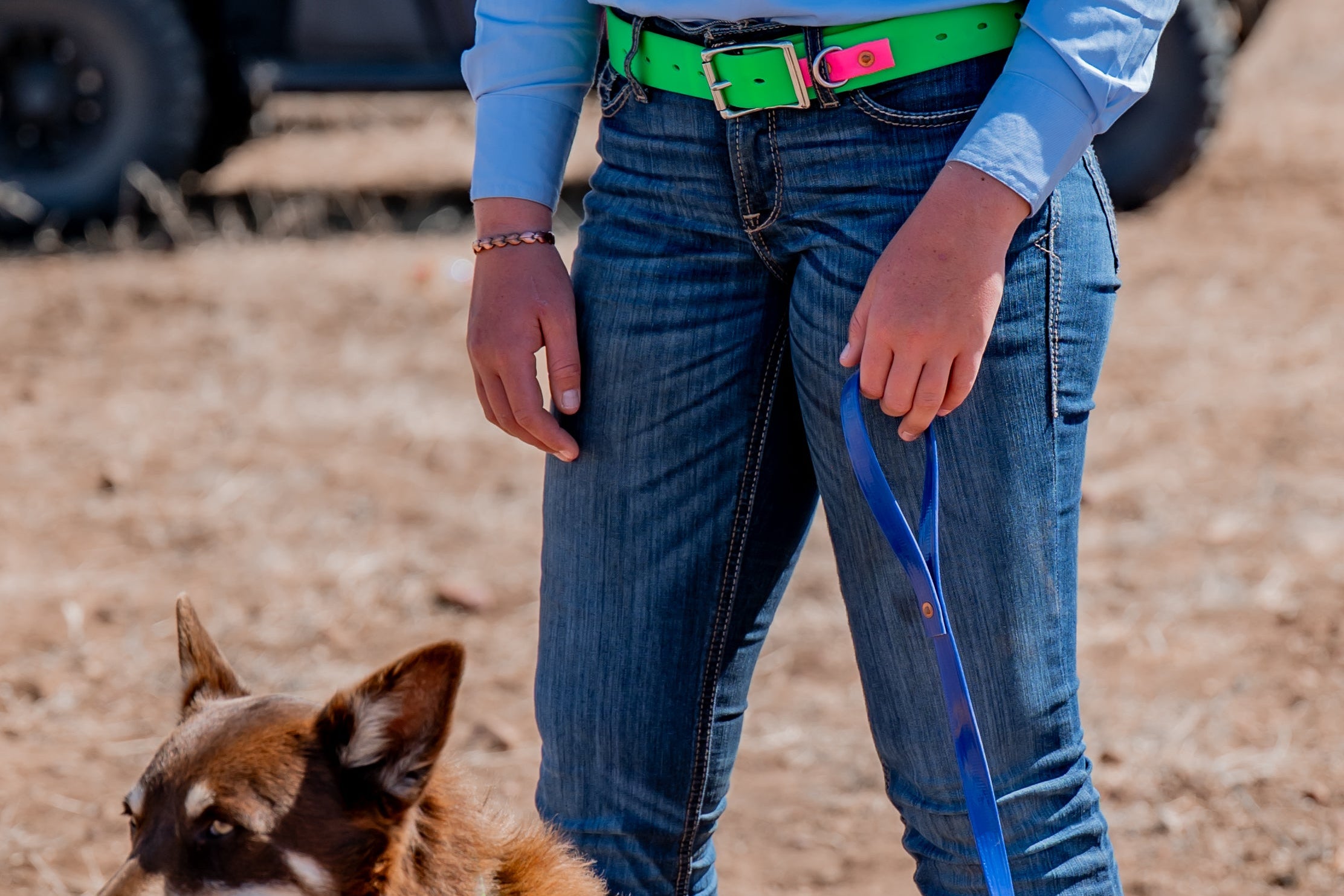 Dog Leads